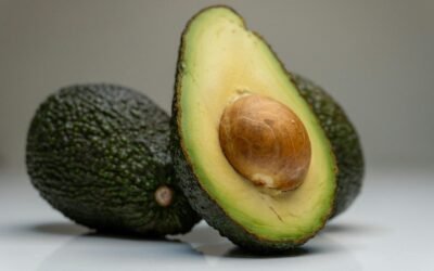EL AGUACATE DEL ESTADO DE MEXICO “LISTO PARA CONQUISTAR MERCADOS INTERNACIONALES”