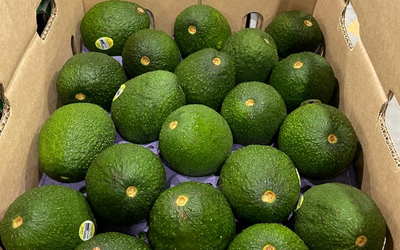 APEAMEX: sus asociados exportadores ya cuentan con el Certificado Laboral para la Agroexportación